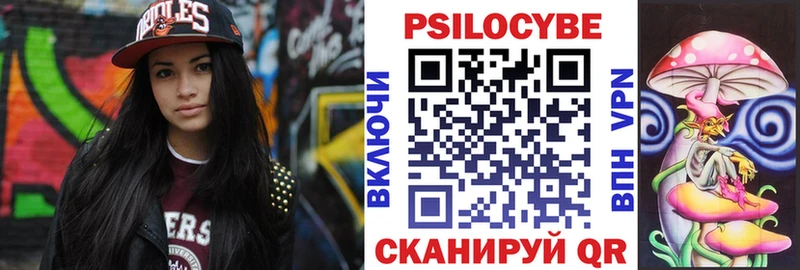 Купить где Звенигород Галлюциногенные грибы Psilocybe